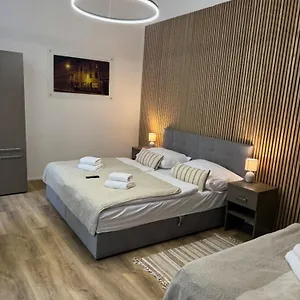  דירה Apartmanovy Dum Centrum